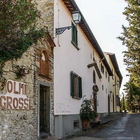 Olmi Grossi Impruneta